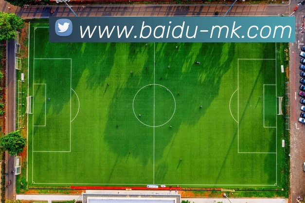 多媒体互动体验